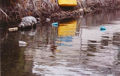 【入賞】海洋のプラスチックゴミの問題提起と海岸清掃（環美・富士の山）