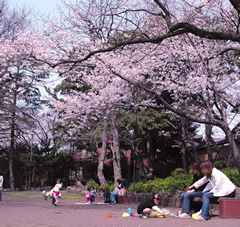 児童公園