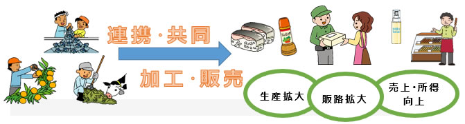 6次産業化・農水商工連携（連携・共同　加工・販売　から　生産拡大、販路拡大、売上・所得向上）