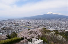 香貫山から見た沼津市