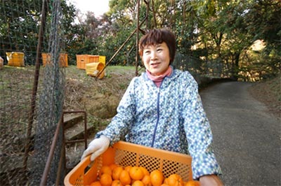 森幸農園の山口さん