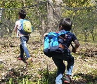 沼津の山を冒険したい