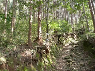 鷲頭神社近くの登り口