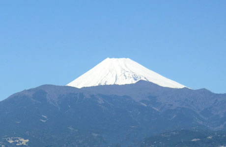 富士山の前に広がる愛鷹山