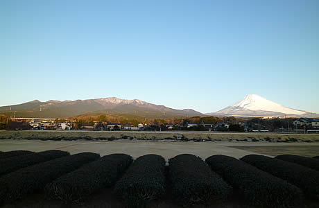 愛鷹山塊と富士山