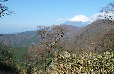 山からの眺望