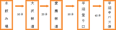 【平沼（東海大）ルート　下り】水飲み場→（50分）大沢林道→（20分）愛鷹林道→（50分）平沼登り口→（45分）平沼中バス停