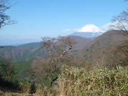 愛鷹山山頂手前登山道から見える富士山