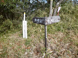 標識　愛鷹山山頂から馬場平へ