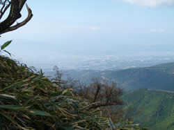 愛鷹山山頂から馬場平までの道からの眺望