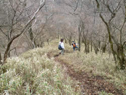 馬場平から袴腰岳までの道