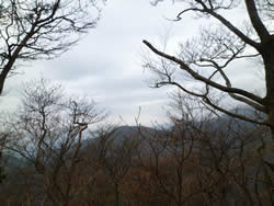 袴腰岳から一服峠までの道からの眺望