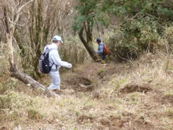 位牌岳から水飲み場までの道