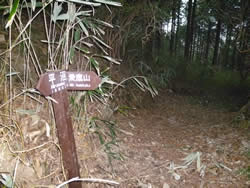 愛鷹林道から平沼登り口への道　指導標看板あり