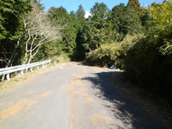 愛鷹林道から平沼登り口への道