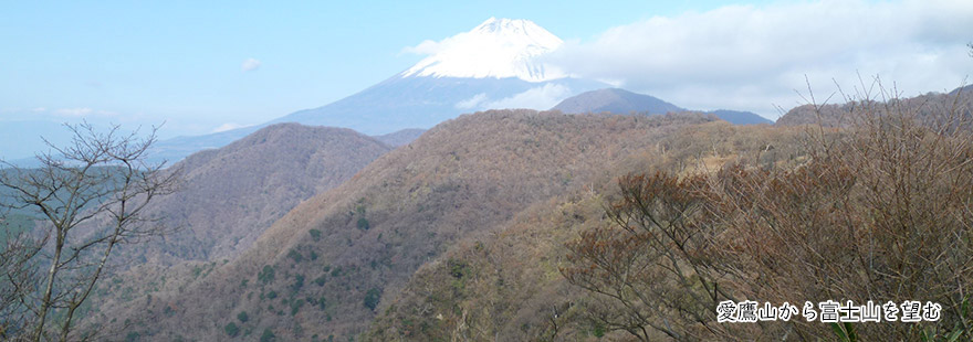 愛鷹山から富士山を望む