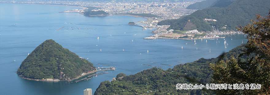 発端丈山から駿河湾と淡島を望む