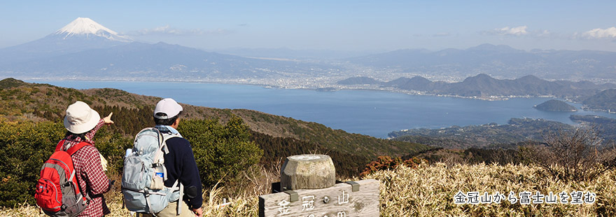 金冠山からを望む