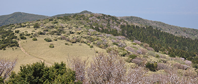 金冠山の景色