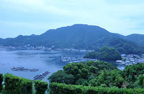 発端丈山からの眺望　内浦湾