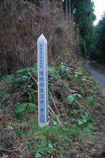 河内の大スギ　看板