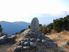 金冠山山頂