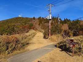 金冠山ハイキングコースの様子