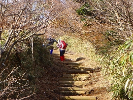 金冠山ハイキングコースの様子