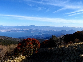 金冠山山頂からの眺望