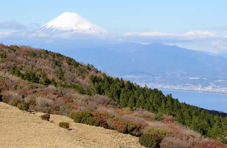 金冠山山頂からの眺望　富士山