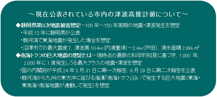 現在公表されている市内の津波高推計値について