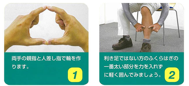 テスト方法　【1】両手の親指と人差し指で輪を作ります。【2】利き足てはない方のふくらはぎの一番太い部分を力を入れずに軽く囲んでみましょう。