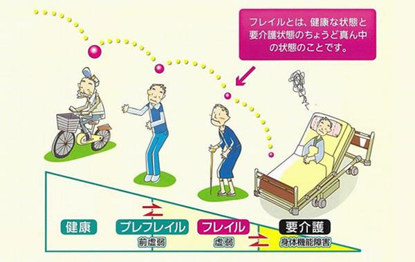 健康→プレフレイル→フレイル→要介護の図解　フレイルとは、健康な状態のちょうど真ん中の状態のことです。