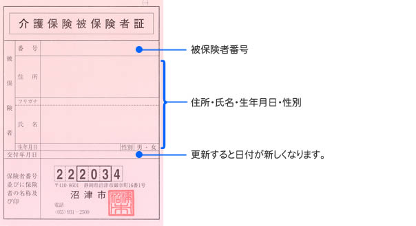介護保険被保険者証1面の説明 番号(被保険者番号)、住所・氏名・生年月日・性別、交付年月日(更新すると日付が新しくなります。)