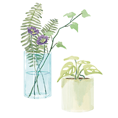 植物　イラスト