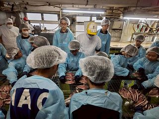 干物づくりの様子