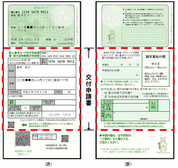 通知カードの見本(表・裏)