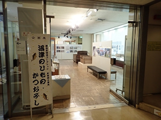 企画展の様子