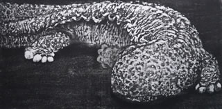 令和元年度　第37回山口源新人賞作品「皮膚呼吸」(ひふこきゅう)