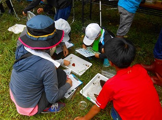 金岡地区エコ活動の様子2