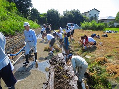 【入賞】浮島湧水文化の継承(エコネット沼津)