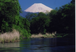 富士山と柿田川の画像