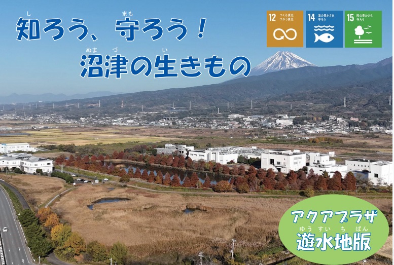 アクアプラザ遊水地版ちらし画像