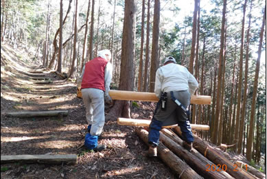 愛鷹運動公園内沼津市有林遊歩道周辺の整備の様子