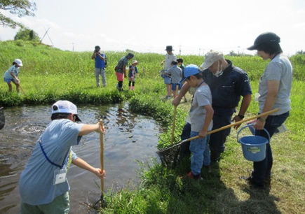 網で水生生物を捕まえる子供たち