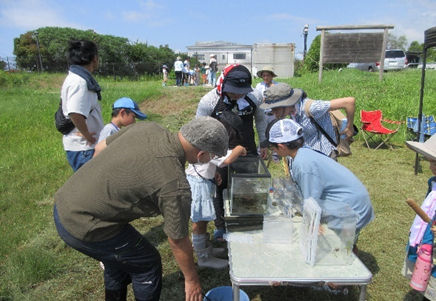 自然観察会で川で水辺の生き物を探している子供たちの様子