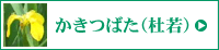 かきつばた（杜若）