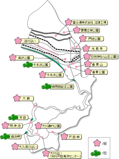 地図で検索（春）