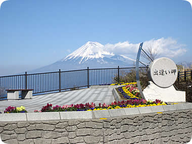 出逢い岬の花壇