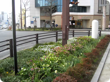 あげつち商店街の花壇